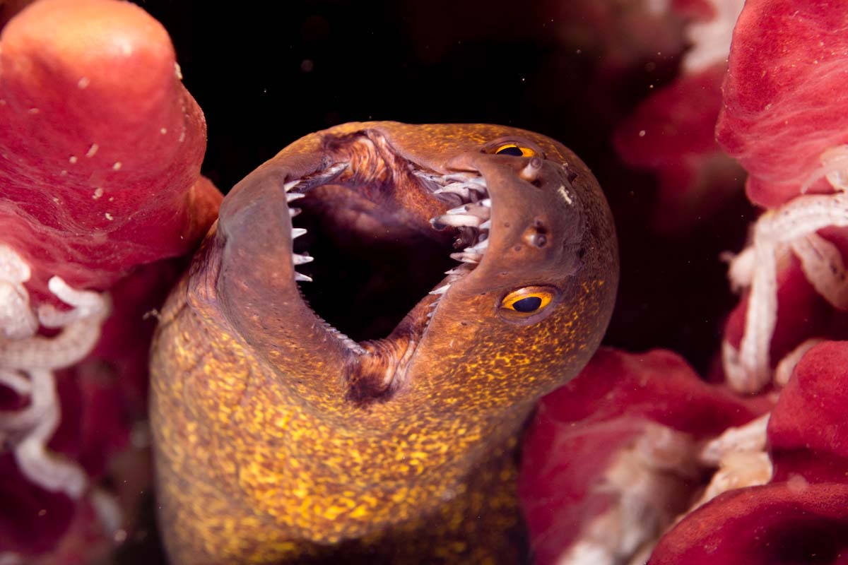 DanThΞMan Photography 📸 tweet media