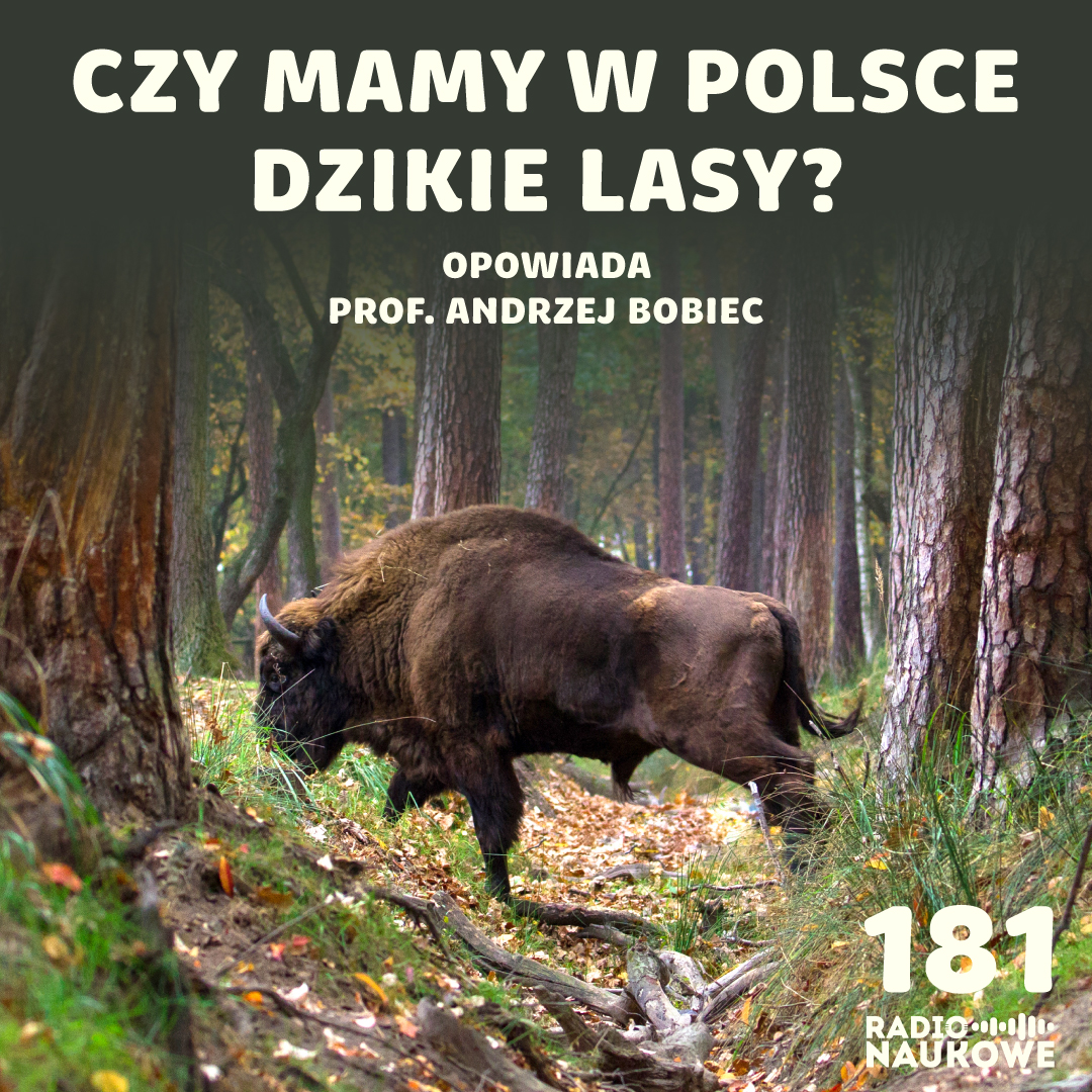 RadioNaukowe tweet picture