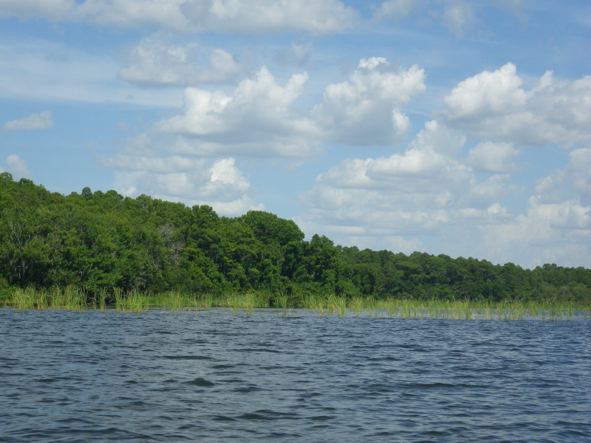 sambestock's tweet image. Any of your characters up for a swim? 🏊

#drawingreference #drawingref #artref