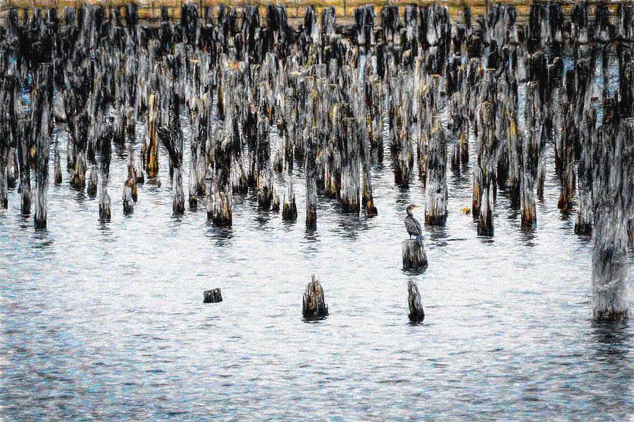DebraMartz's tweet photo. Well Worn Pilings Portland Maine by Debra Martz
Relics of the Maritime past.
AVAILABLE-HERE: https://t.co/3oe0c0EhT1
#pilings #pylons #Portland #Maine #maritime #relics #remains #photography #PhotographyIsArt #BuyIntoArt #AYearForArt #BuyArtNotCandy #Art https://t.co/AUK39wEMqw