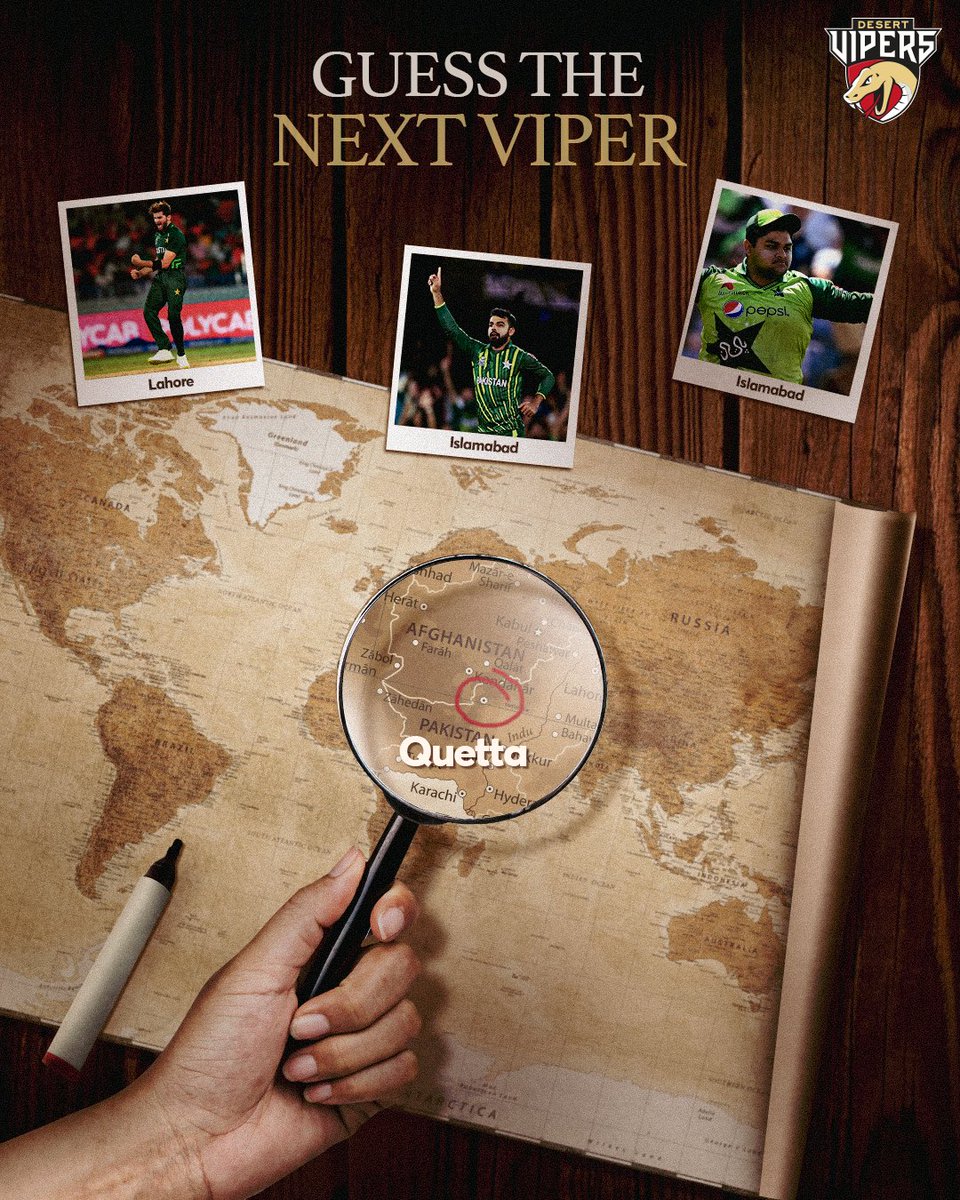 Desert Vipers tweet media