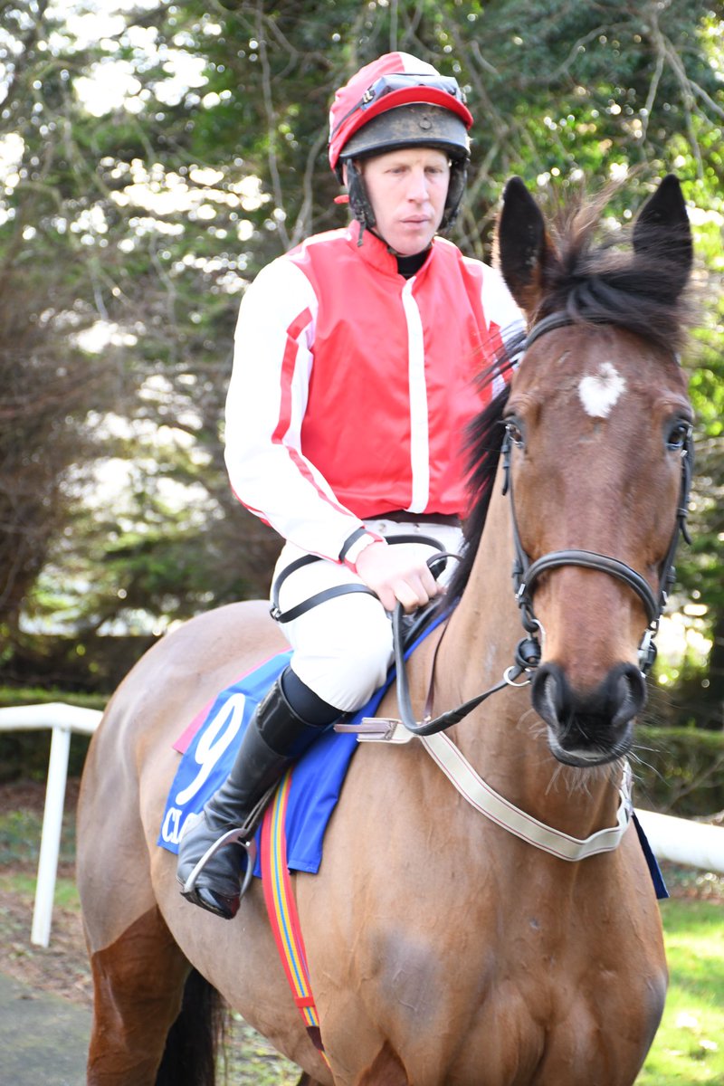 PCequinephotography tweet media