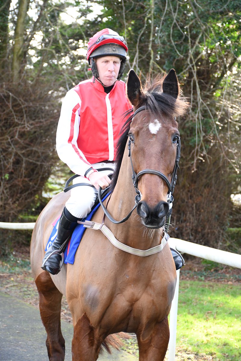 PCequinephotography tweet media