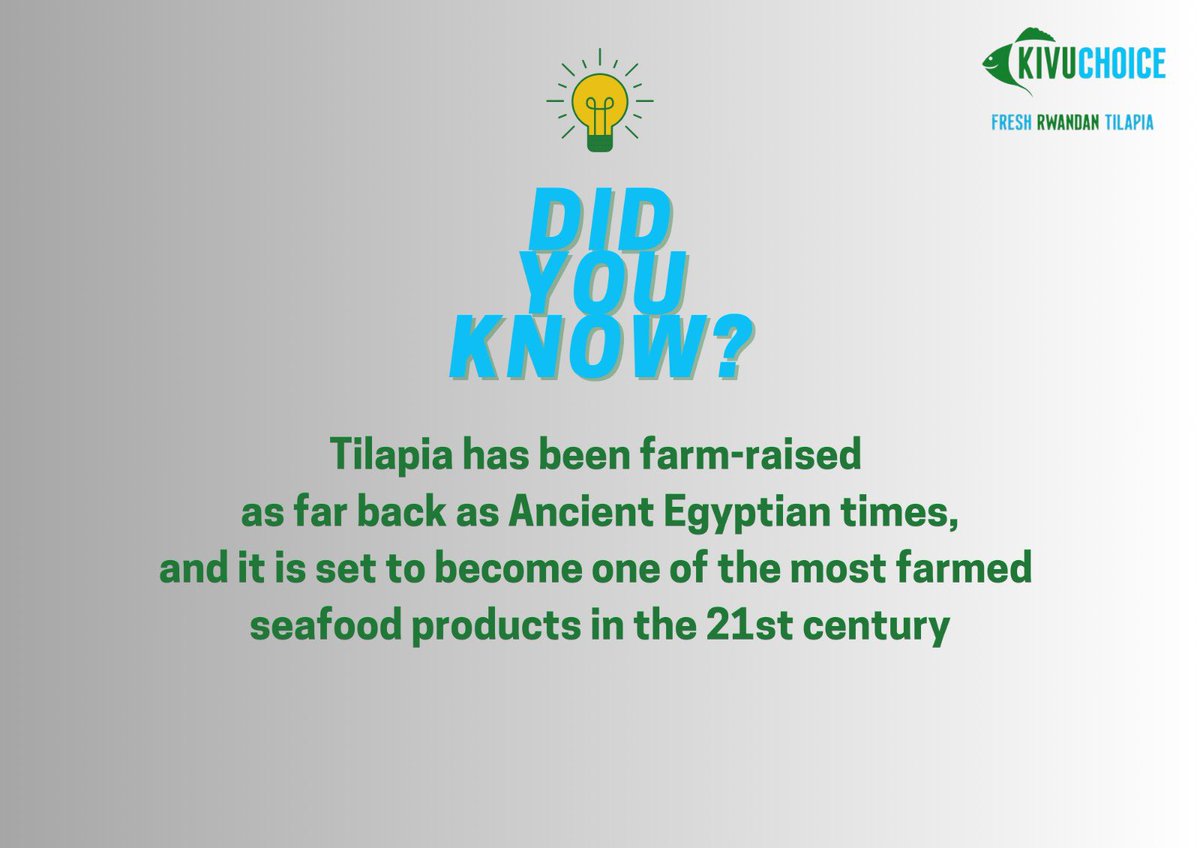 DID YOU KNOW? 

#Fishfacts 
#Fishfarming
#Knowledgesharing 
#KnowledgeIsPower 
#FreshRwandanTilapia
#KivuChoice
