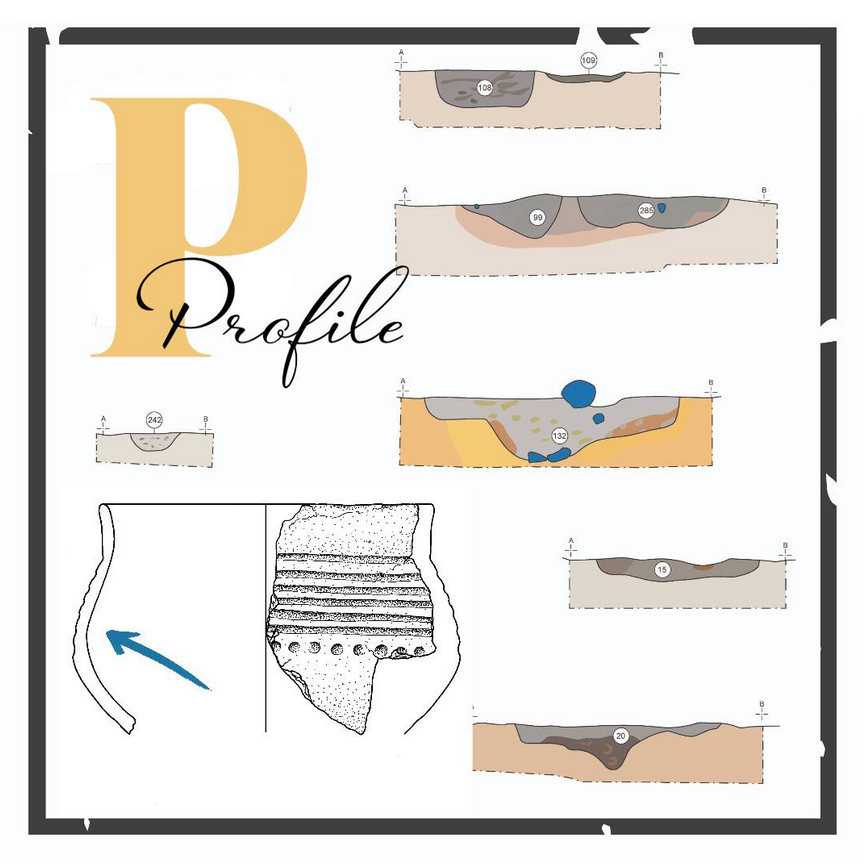archillu's tweet image. In  archaeology, a profile is an excavation section. It is a vertical cut  through the excavated features to illustrate the sequence of cultural &amp;amp; soil layers. 
Secondly, there are the ceramic profiles. #ArchIllu #alphabetart #prehistory #illustrationists #Archaeology #DidYouKnow