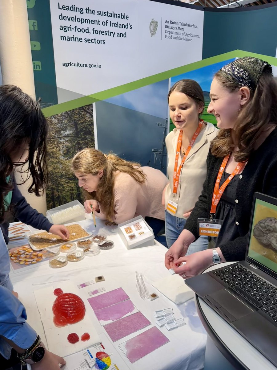 Come meet our women in science, Diana Gudynaite, Alfre Murtagh
and Ainara Fernandez at the Department’s stand at #BTYSTE2024. Find us in Exhibit Hall 1.