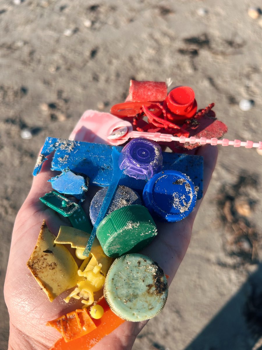 caroline_south's tweet photo. A few finds from today’s #2minutebeachclean at West Wittering… 🌈 https://t.co/AD8LyQajk3