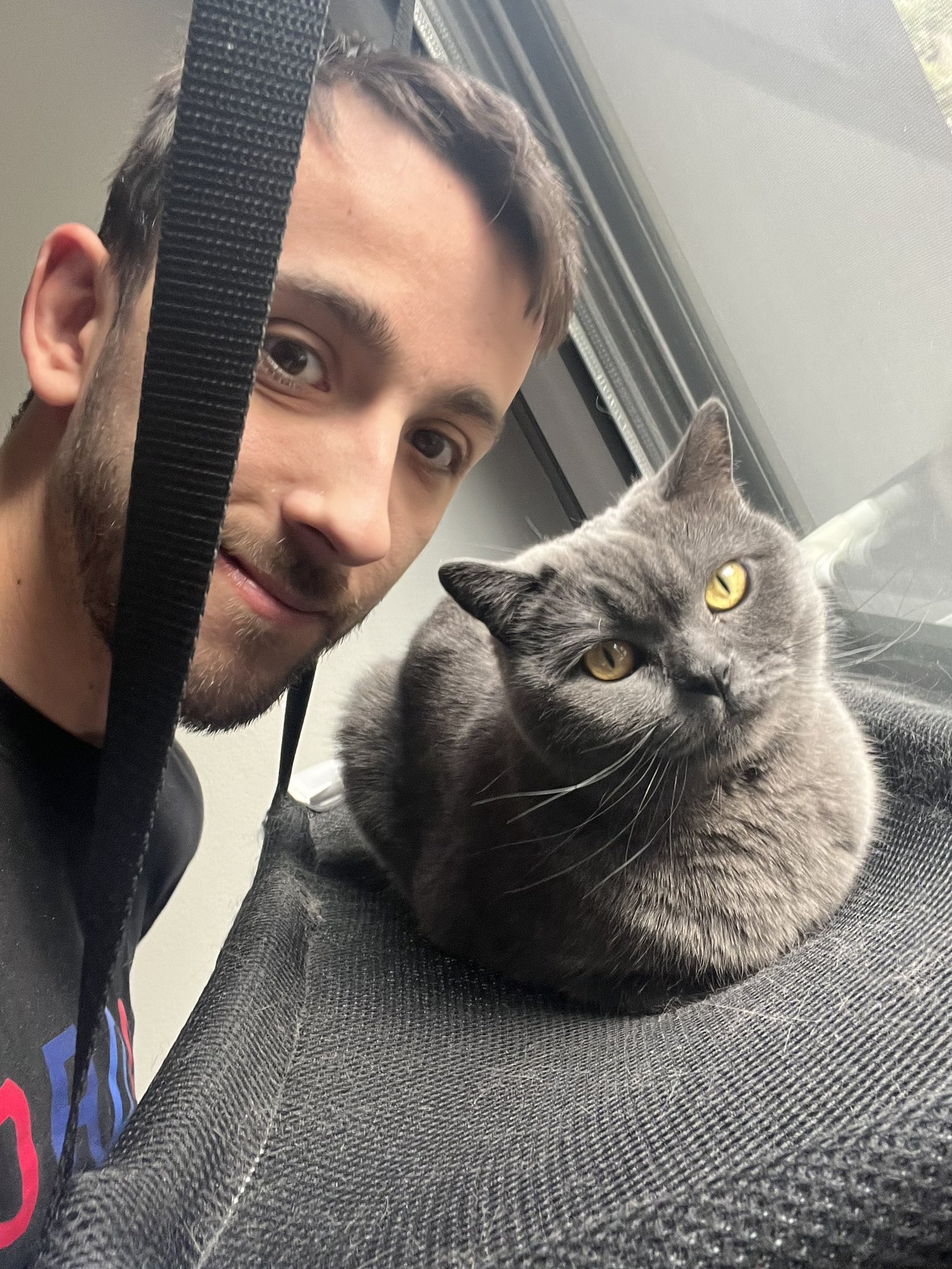 GDkNC2GbUAAlaWn.jpg:large