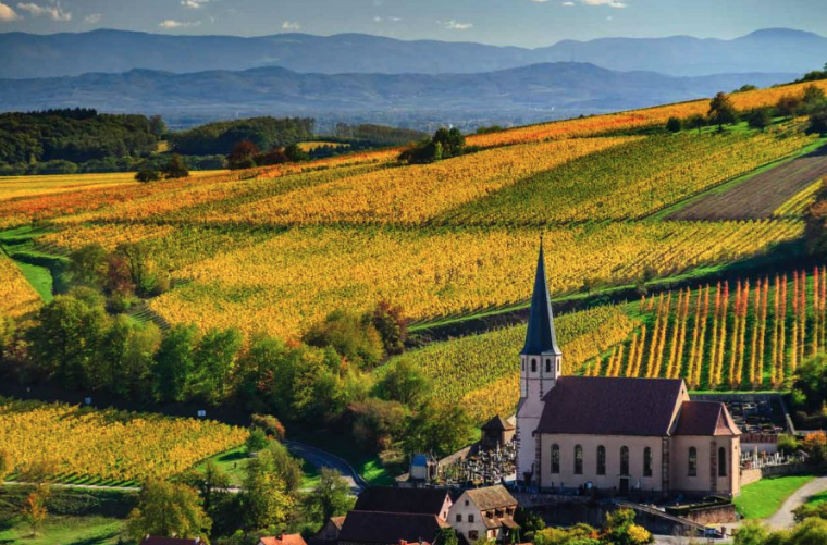 Make the expert's choice: Alsace Pinot Noir! A @Decanter blind tasting has shown that 'this classic yet sometimes overlooked French region is now more than capable of matching better-known, quality Pinot Noir-producing areas'! shorturl.at/abkuE #DrinkAlsace