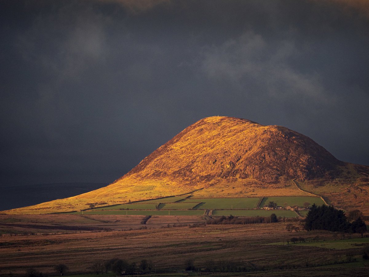 Slemish Gold 
#landscapephotography #irishphotographer 
#countyantrim