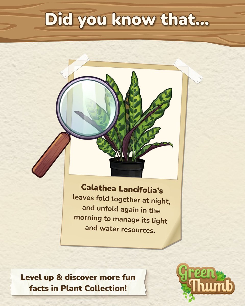 Lots of interesting facts about your favorite plants are available in our Collection 💚 Level up to discover them all &amp; dive even deeper into the world of green friends!

Green Thumb 🌱
Google Play: bit.ly/greenthumband
App Store: apple.co/4aR26e6

#games #mobilegaming