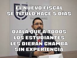 wadelacruz's tweet photo. PREGUNTA; ¿QUE, NINGÚN MORENISTA ESTÁ TITULADO LEGALMENTE?

Ahora el fiscal presenta un titulo como Lic. en Derecho (requisito para ser fiscal) con fecha de 2024

O ¿sea se tituló en estos 10 de  días de enero?

HA DE TENER UN CHINGO DE EXPERIENCIA

PURO ANIMAL EN MORENA https://t.co/fQlkbFhrHh