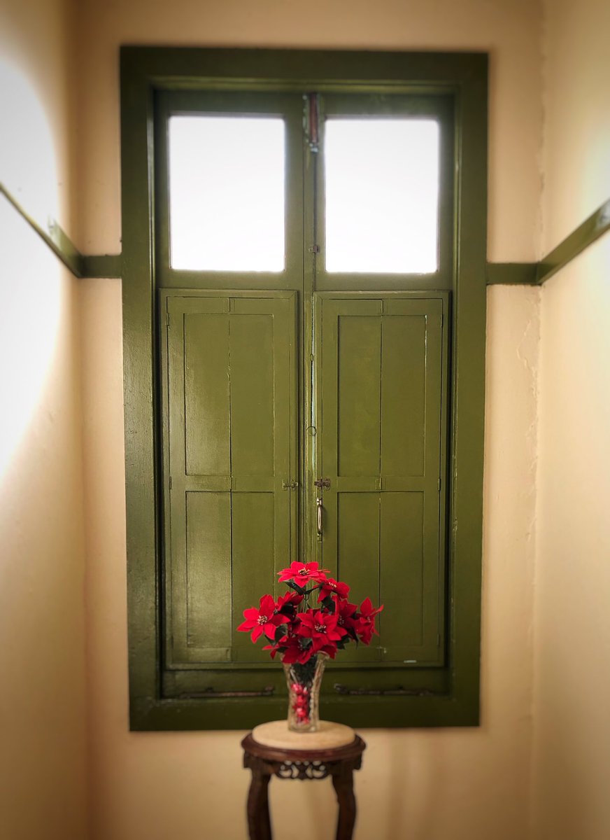 mapascu's tweet photo. #iphoneonly #snapseed #snapseededit #ventana #window #squaready #flores #flowers #rojo #red https://t.co/SMA69ZclkN