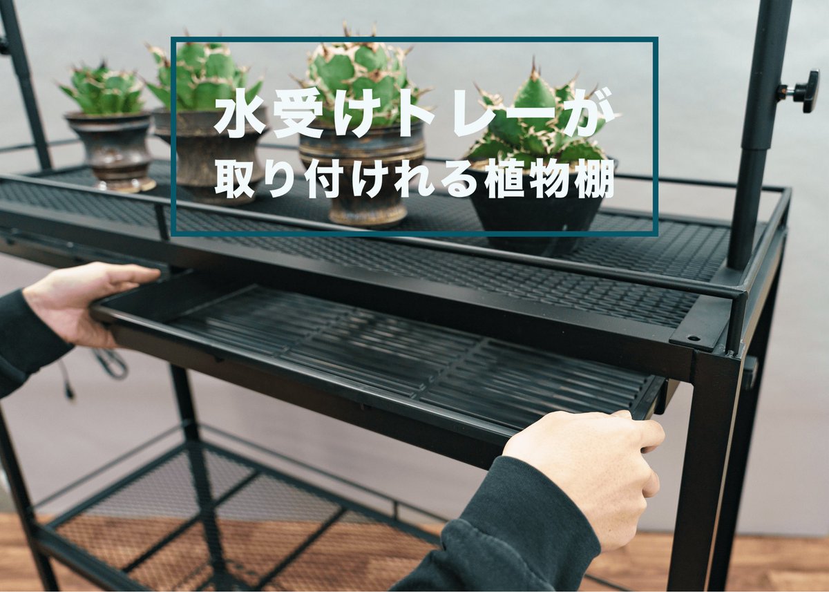 アイアンアガベ植物棚 楽天市場】水受けトレー付植物棚 ガベラック 植物棚 アガベ 塊根