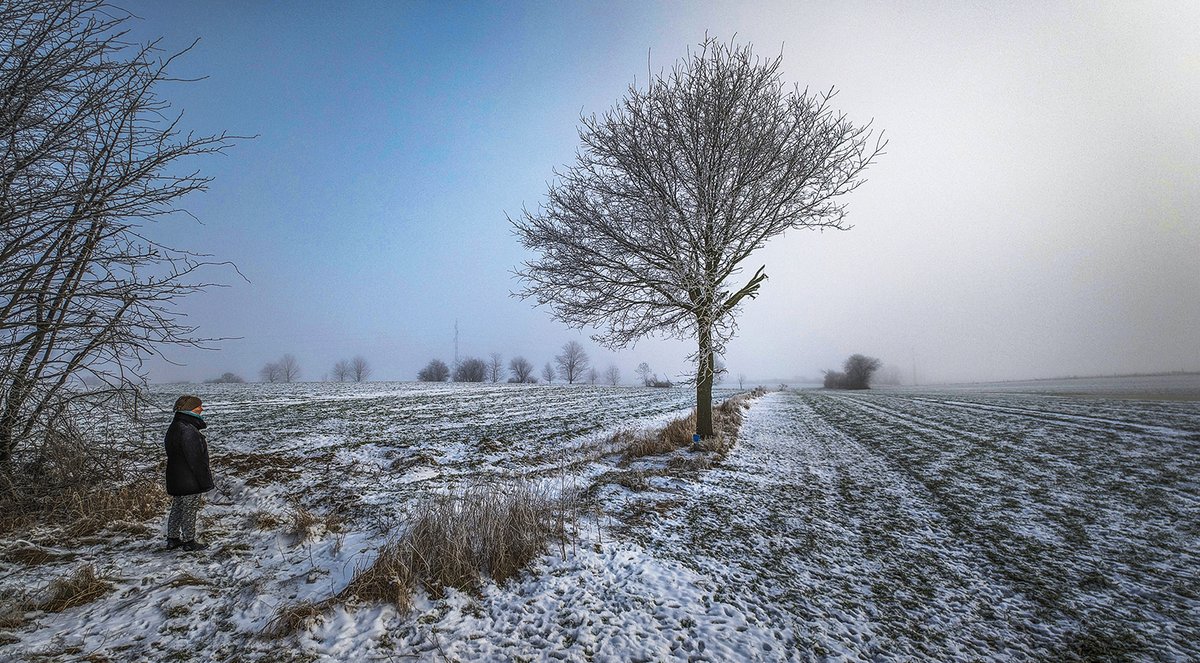 leogroendal's tweet photo. Vinterdis Danmark
Optaget med Pixel 8 Pro
#Pixel8PRO #Vinter #Danmark https://t.co/eMMjvT7JUk