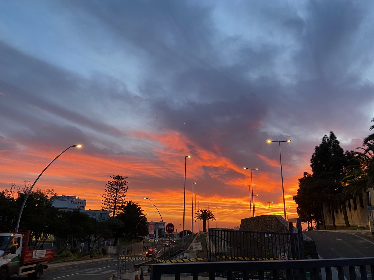 cicekcece's tweet photo. every morning just gets prettier🧡 https://t.co/MxTjir3Hx8