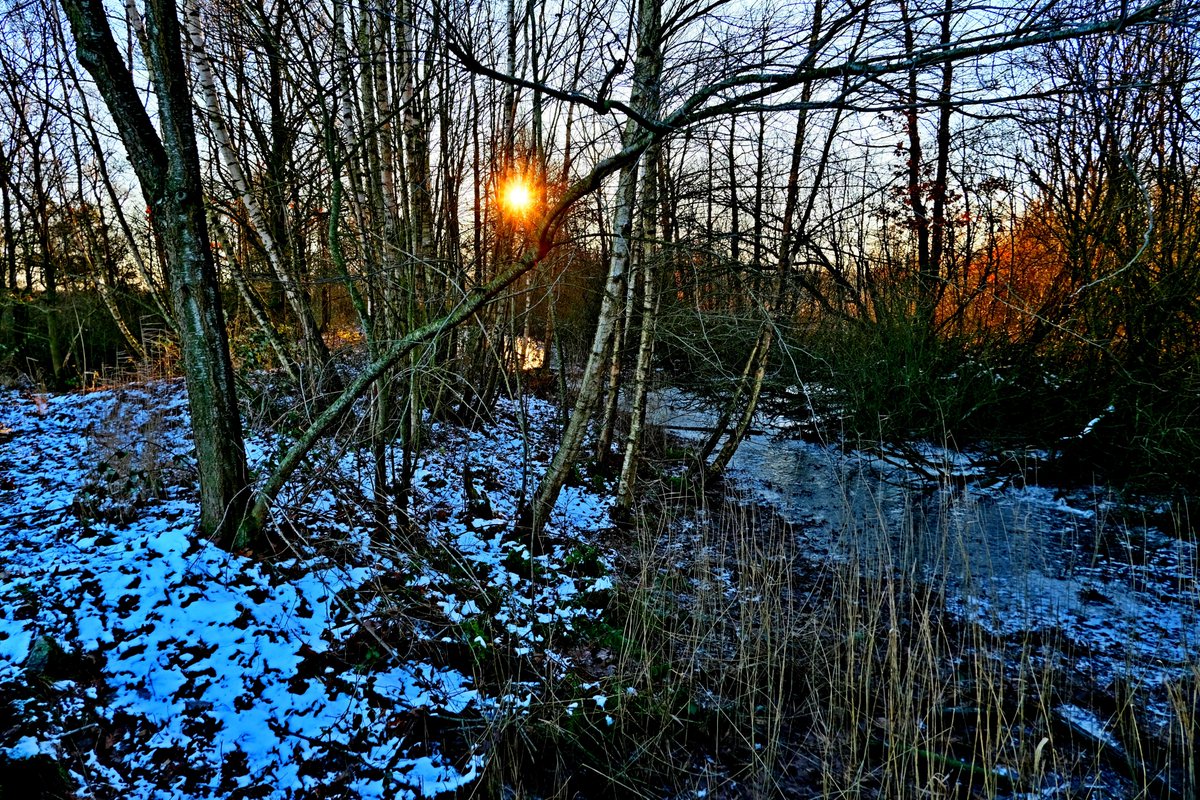 rob_sieben's tweet photo. A lThe winter sun doesn't bring much warmth. #Fotos #fotografie #landscapephotography #fotografia #ostfriesland #landscape #Simonswolde #WINTER #trees link: https://t.co/B5MyiQKf9d https://t.co/XyxKv9VIgl
