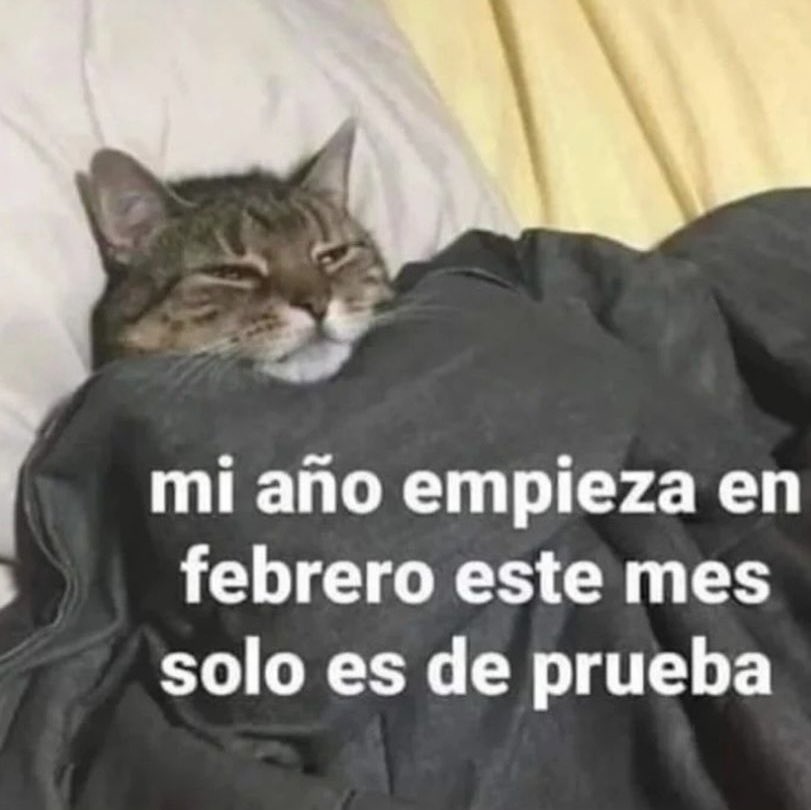 aguusfreire's tweet photo. Arranqué el año afónica y ahogándome cada 2x3 y no se me va, se me rompió el auto y me cagaron 2 palomas https://t.co/RWzl2KaaSE