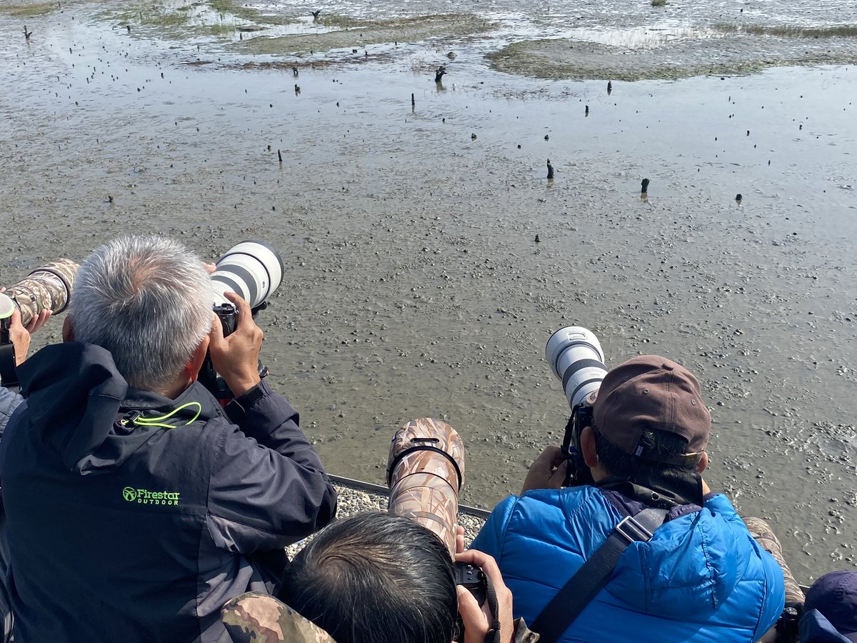 Joe Tobias tweet media