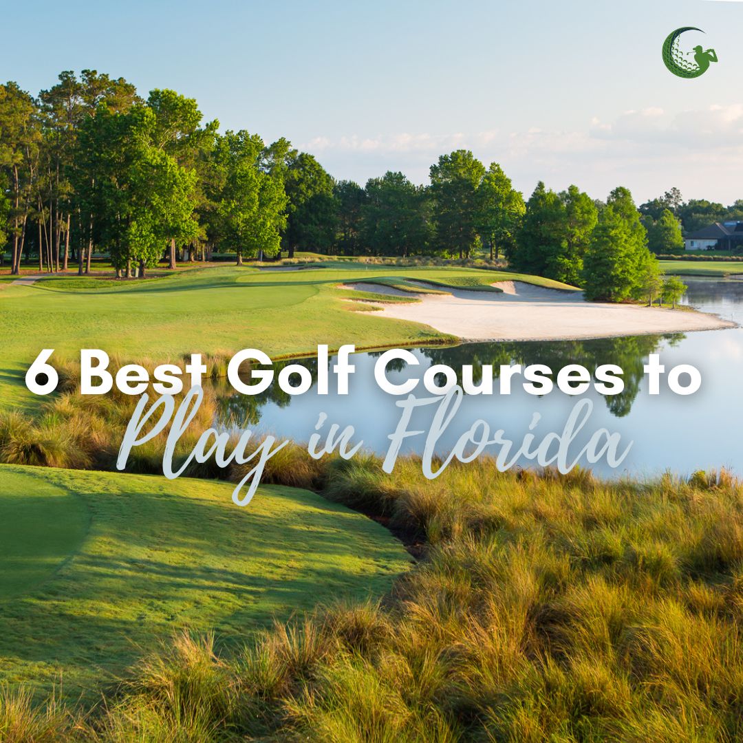 Golf Experiences tweet media