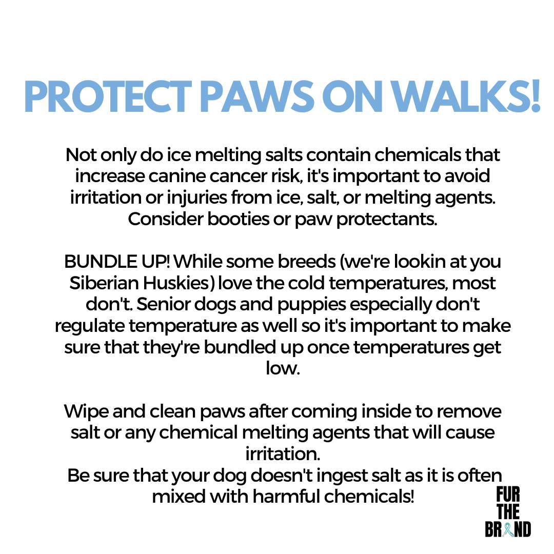 🧊 Extreme weather alert! 🐶

Take precautions to keep your pets safe as temperatures continue to drop!

BRING THEM INSIDE! Like people, cats &amp; dogs are susceptible to frostbite &amp; hypothermia and should be kept inside during colder months. 

If you see something, SAY something!🐶