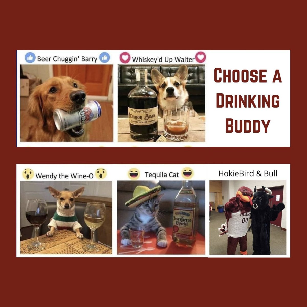 BullnBonesCBurg's tweet photo. 😜😜😜 https://t.co/vfOHO6oUf1