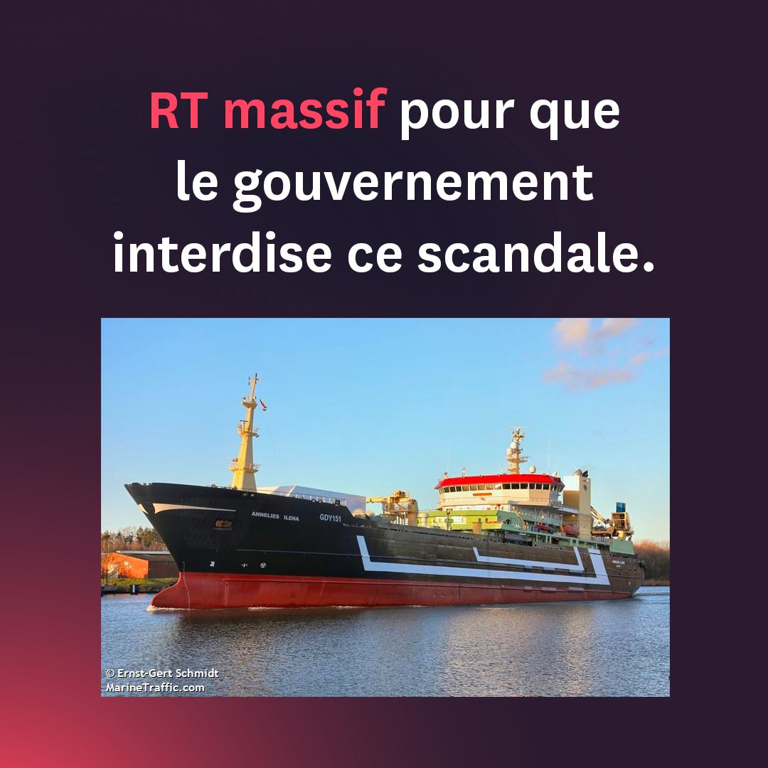 Claire Nouvian (@clairenouvian) on Twitter photo Pour célébrer 2024 "Année de la Mer", la France s'apprête à accueillir le plus grand chalutier pélagique du monde : un navire-usine de 145 m qui fera du surimi industriel.
Faux-pas symbolique ?
Non. Systémique.
Avec <a href="/EmmanuelMacron/">Emmanuel Macron</a>, la France devient une nation anti-océanique.🧵 Pour célébrer 2024 "Année de la Mer", la France s'apprête à accueillir le plus grand chalutier pélagique du monde : un navire-usine de 145 m qui fera du surimi industriel.
Faux-pas symbolique ?
Non. Systémique.
Avec <a href="/EmmanuelMacron/">Emmanuel Macron</a>, la France devient une nation anti-océanique.🧵