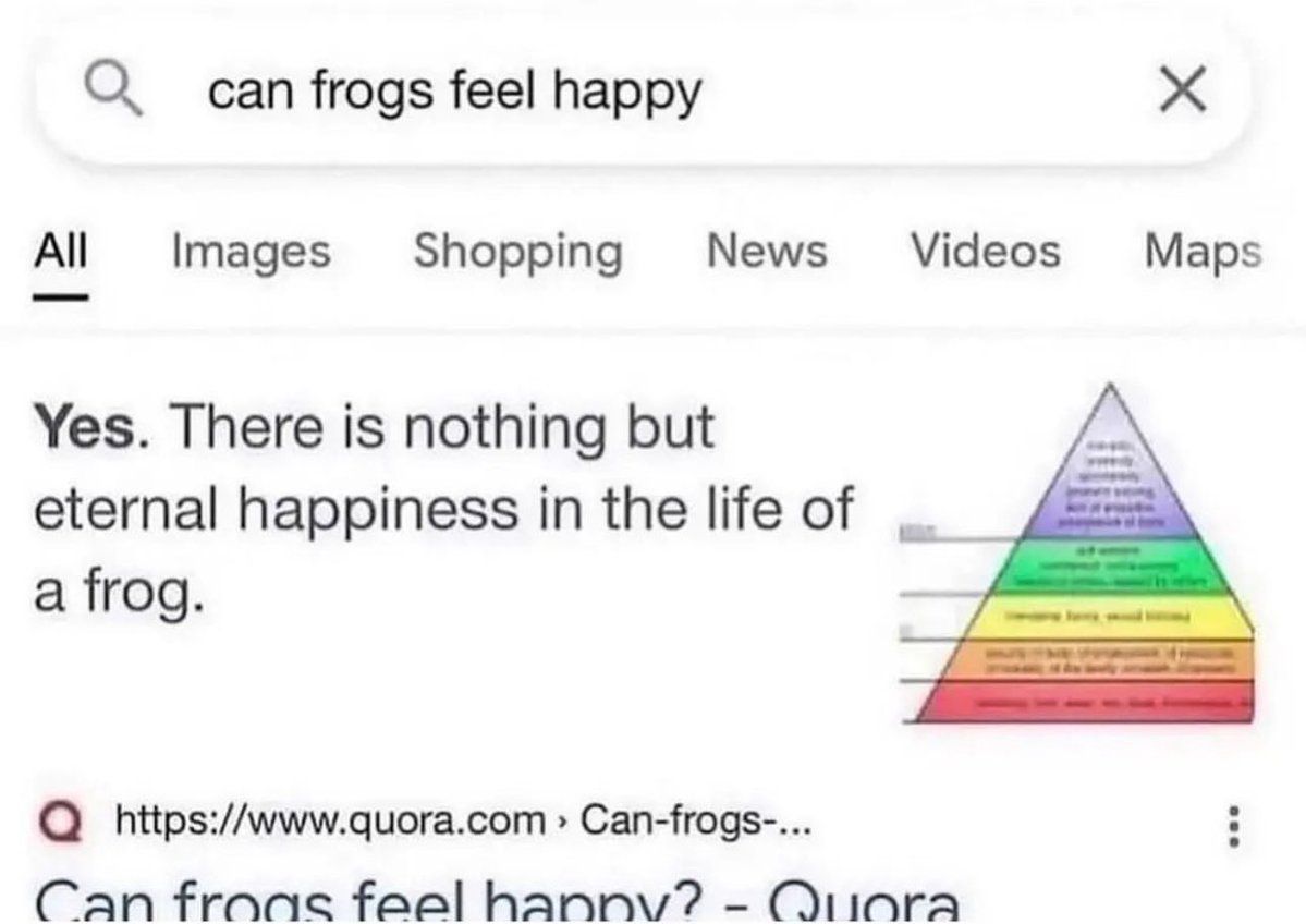 hourly_shitpost tweet picture