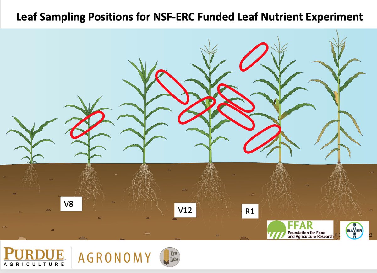 Bernard Tobin tweet media