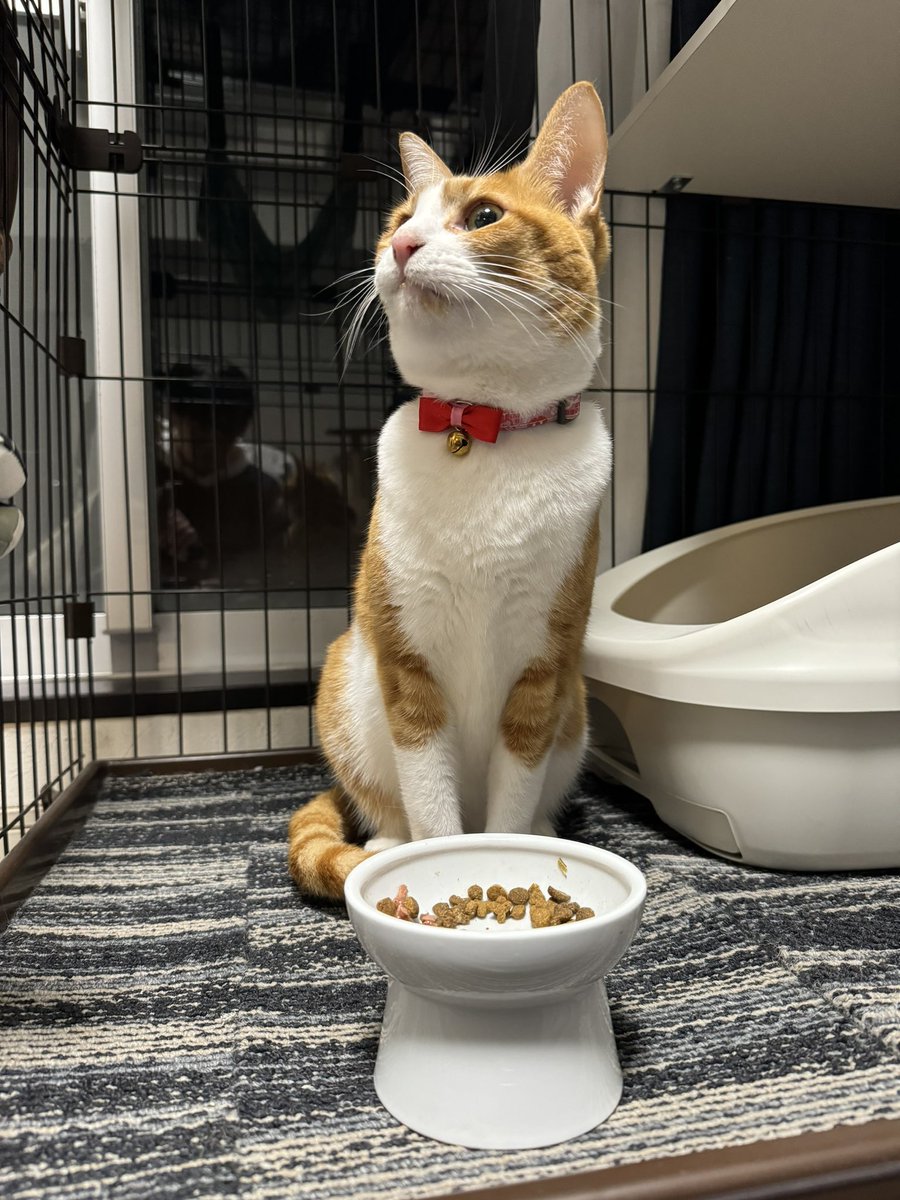 福岡帰省、3年ぶりにゆったり帰れて、
やっぱりご飯も美味いし、住みやすくて最高でした！！

福岡でイベントも出来て嬉しかったし、
また東京で頑張って福岡に帰って来れたらなって思います🔥

3月1日から10日には舞台も決まってますので、精一杯頑張ります！
今年も森大地をよろしくお願い致します🙇‍♂️