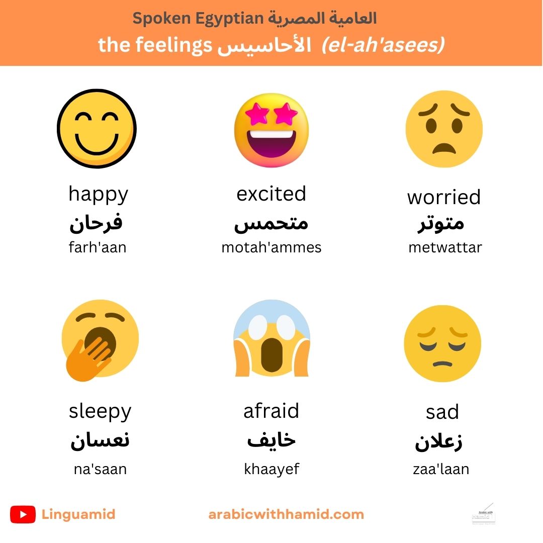 Arabicwithhamid's tweet photo. How to express different feelings in spoken Egyptian 🔥
Learn spoken Egyptian now with my FREE course
https://t.co/RcEtHABlPr
#egypt #feelings #emotions #speakarabic #speakegyptian #masr #masry #cairo https://t.co/ENPndvZqNe