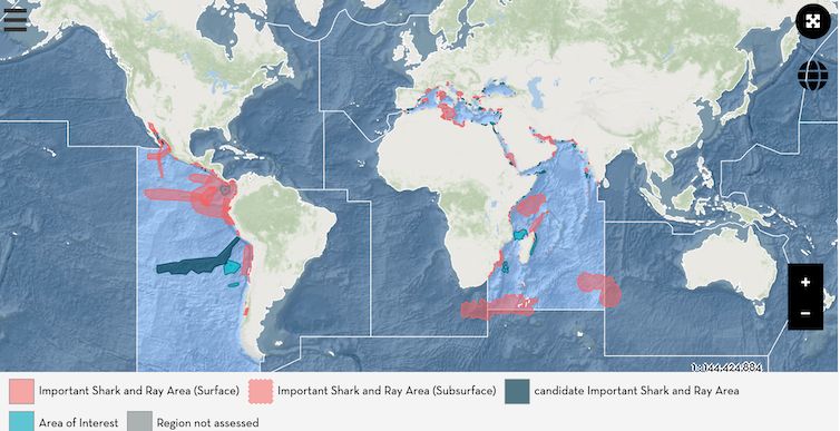 There's a new op ed out today about the Important Shark and Ray Areas project and the work we do. Please read and share! 

buff.ly/3TZSbNp