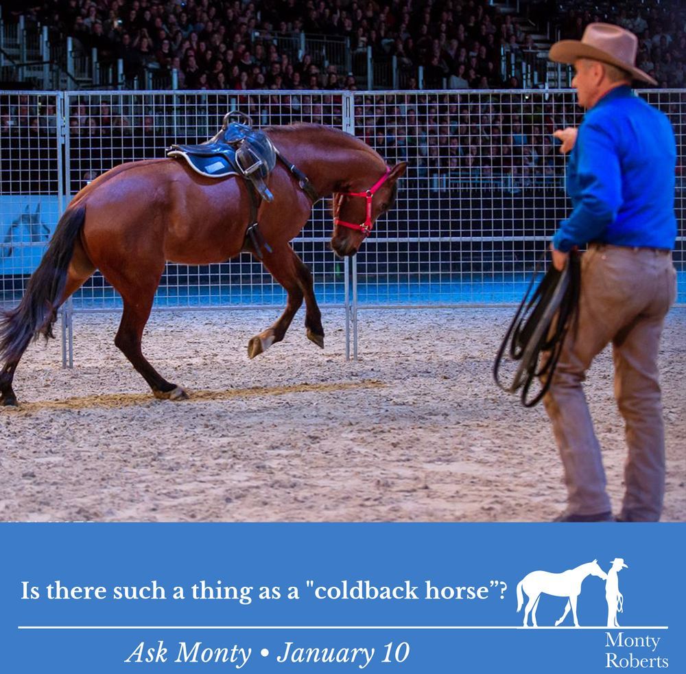 Monty_Roberts's tweet image. Question: Is there such a thing as a "coldback horse”?

Read Monty's answer in the Ask Monty Q&amp;amp;A: montyrobertsuniversity.com/q_and_a

#MontyRoberts #AskMonty #StartingNotBreaking

📷  Katrin Junker