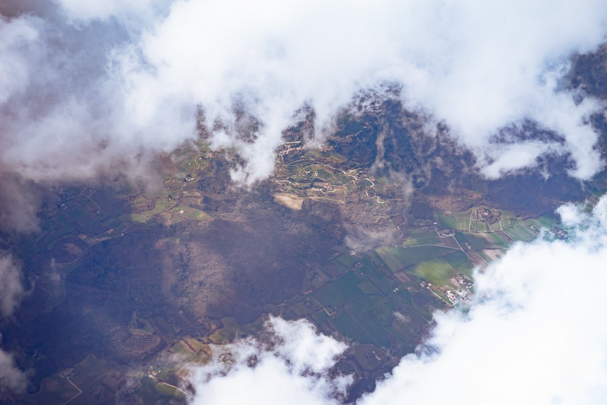 Cederfjärd tweet media