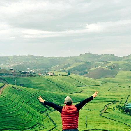 FelNiyo's tweet photo. Hello @X @agribnews
 Spread the word, tag your @RwandaTea buddies, and let's make 2024 the year of incredible #tea moments! 
#ConsumeLocally
#BoostEconomy &amp; #BuildCommunity
 Cheers to a year filled with flavor, culture, and endless tea stories!   #ConnectPeople  @visitrwanda_now https://t.co/72nIBluREx
