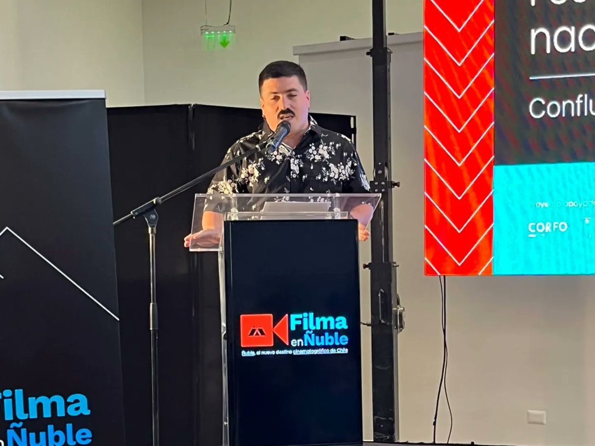 ProChile Ñuble tweet media