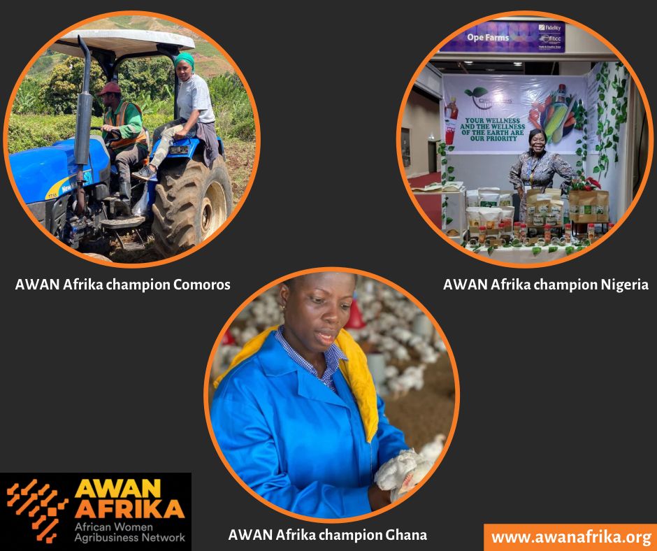 Awan_Afrika's tweet photo. As we venture into the new year, we need to center women and youth in conversations regarding Food Security and Food Systems Transformation. They are the producers, buyers and traders of the food we eat !
 #FAOAfrica #NCTTCA #GAIN #CAREUSA #AUDARBE #AfCFTA #WomeninAg #YouthinAg https://t.co/nz5lmeEeOG