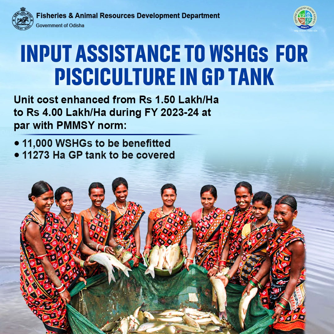 farddepartment's tweet photo. 𝐈𝐧𝐩𝐮𝐭 #𝐀𝐬𝐬𝐢𝐬𝐭𝐚𝐧𝐜𝐞 𝐭𝐨 #𝐖𝐒𝐇𝐆𝐬 for Pisciculture in GP Tank under state sector Umbrella Scheme 'Mukhyamantri Maschyajibi Kalyan Yojana'(#MMKY)
@CMO_Odisha @rajaaswain @OdishaFisheries @sureshvashishth @IPR_Odisha @mission_shakti @krushibibhag https://t.co/xRuhDxekbN