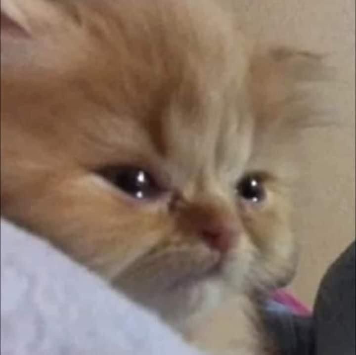 ทุกคน ขอกอดหน้อยได้มั้ยคับ ทะเลาะกับหม่าม้าหนักจนป่วยเลย ตอนนี้ซมมาก นองไม่ไหวเเลว