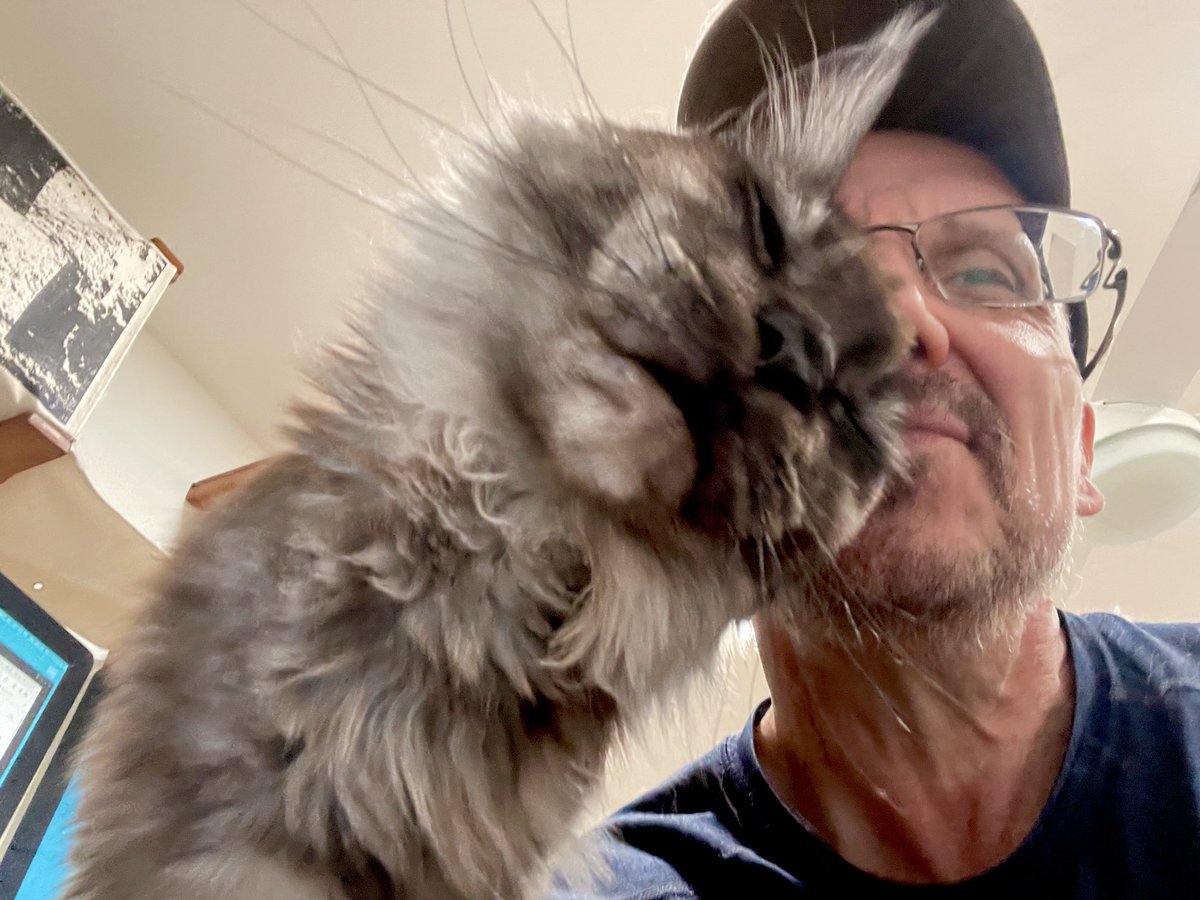geneangelo's tweet image. Best pair partner ever 🐈‍⬛🥰
#pairprogramming #catsoftwitter #ruby #ror
