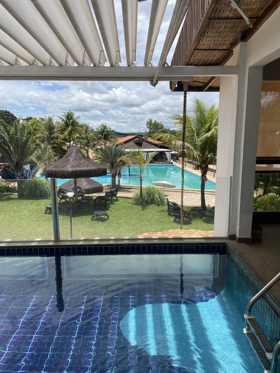 Cê sabe que minha cota é ser feliz, viver! GRATIDÃO AO DONO DO LUGAR ✨🙏🏻🍀