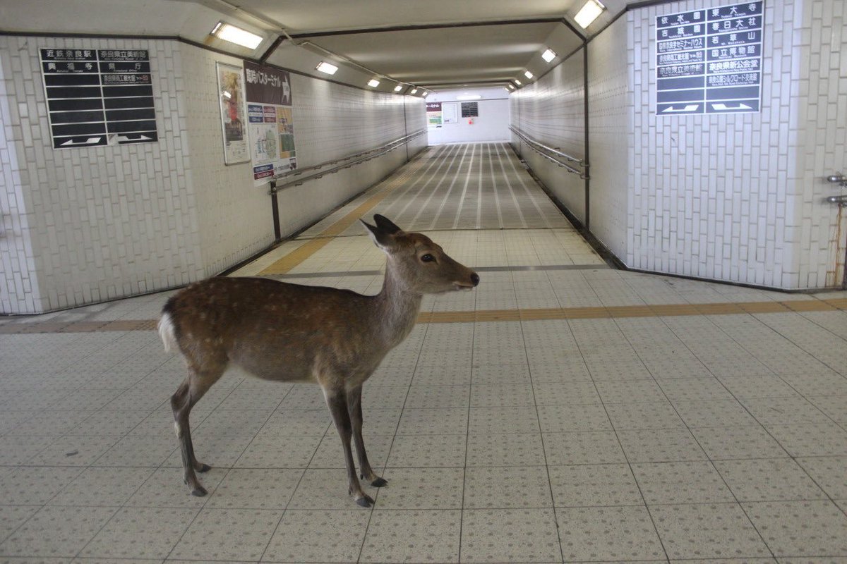 seapearlangel's tweet photo. what commuting in the morning feels like https://t.co/jlALs3auax