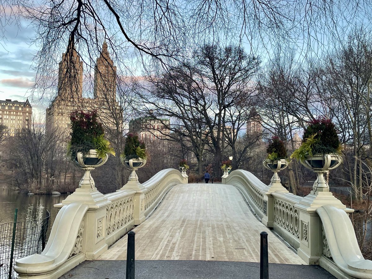 lorifaithnyc's tweet photo. Resurfaced and back in action:) #bowbridge @CentralParkNYC #mymorningwalk #nyc https://t.co/NeqT0ZnWnL