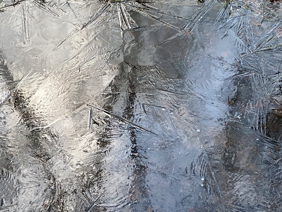 OpPADinVL's tweet photo. Al wandelend fijn foto’s maken van ijs in het Groenhovebos in Torhout. #wandelen #winterweer https://t.co/RLGGiKra4Z