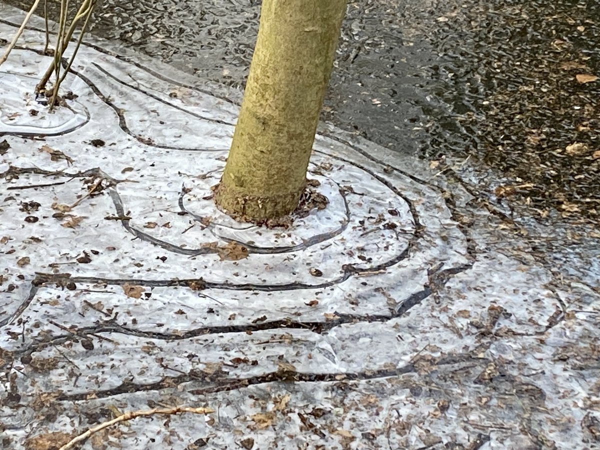 OpPADinVL's tweet photo. Al wandelend fijn foto’s maken van ijs in het Groenhovebos in Torhout. #wandelen #winterweer https://t.co/RLGGiKra4Z