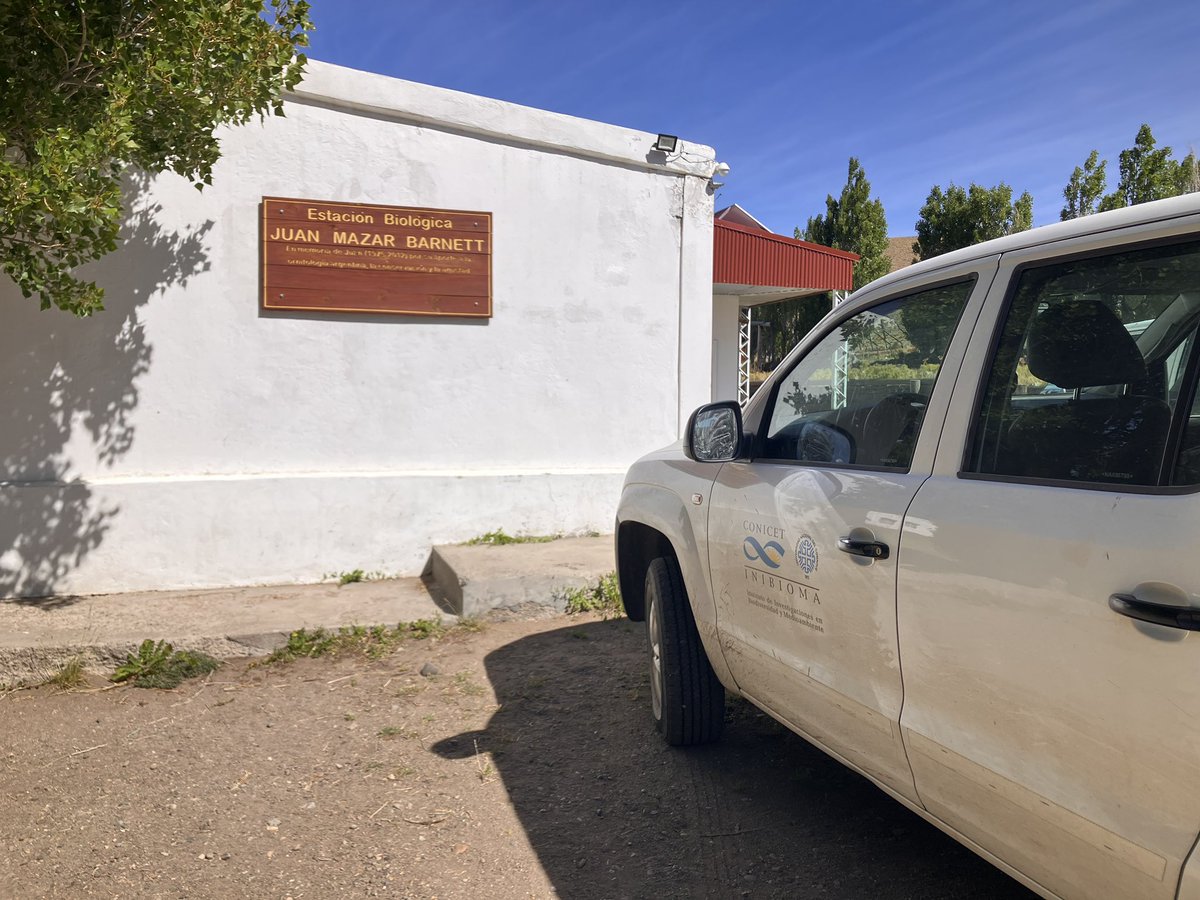 kinipolegus's tweet photo. Conservación no es solo cuidar animalitos! Nuestra misión es tb aportar al desarrollo de la ciencia. Ya van 2 grupos de @CONICETDialoga que utilizan la #EBJMB esta temporada. Aportamos lo que está a nuestro alcance: logística, técnicos, cama, cómida, etc. Un espacio abierto! https://t.co/9NNtqoilXd