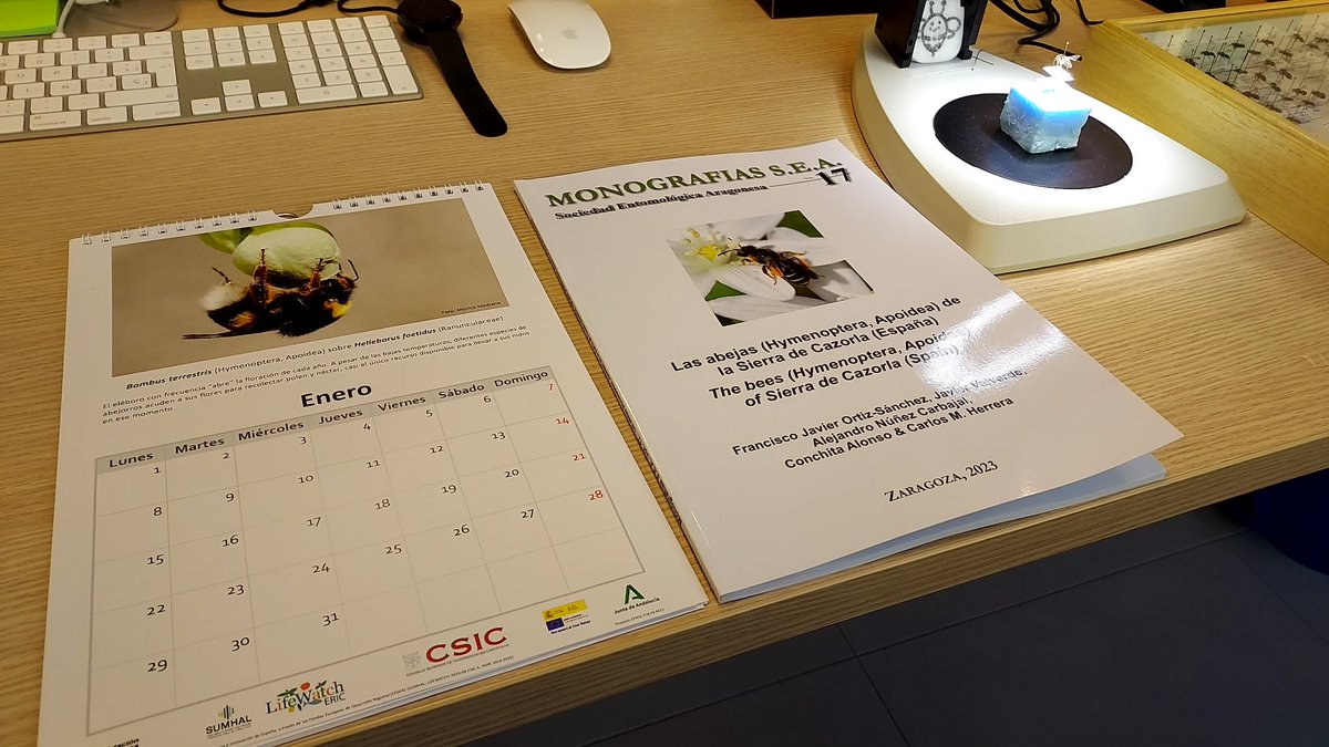 Curro Molina tweet media