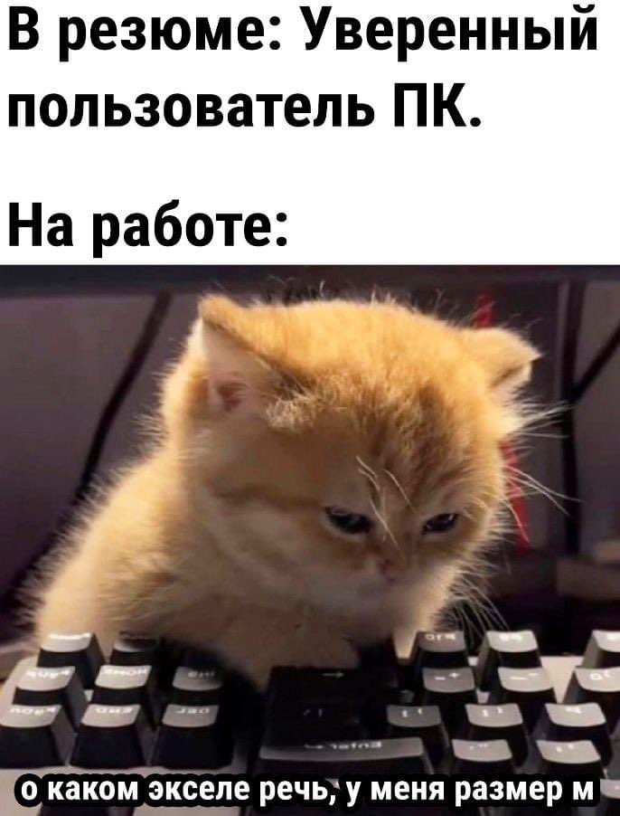 Стажировка в дата-отделе Важных историй 🔥🔥🔥