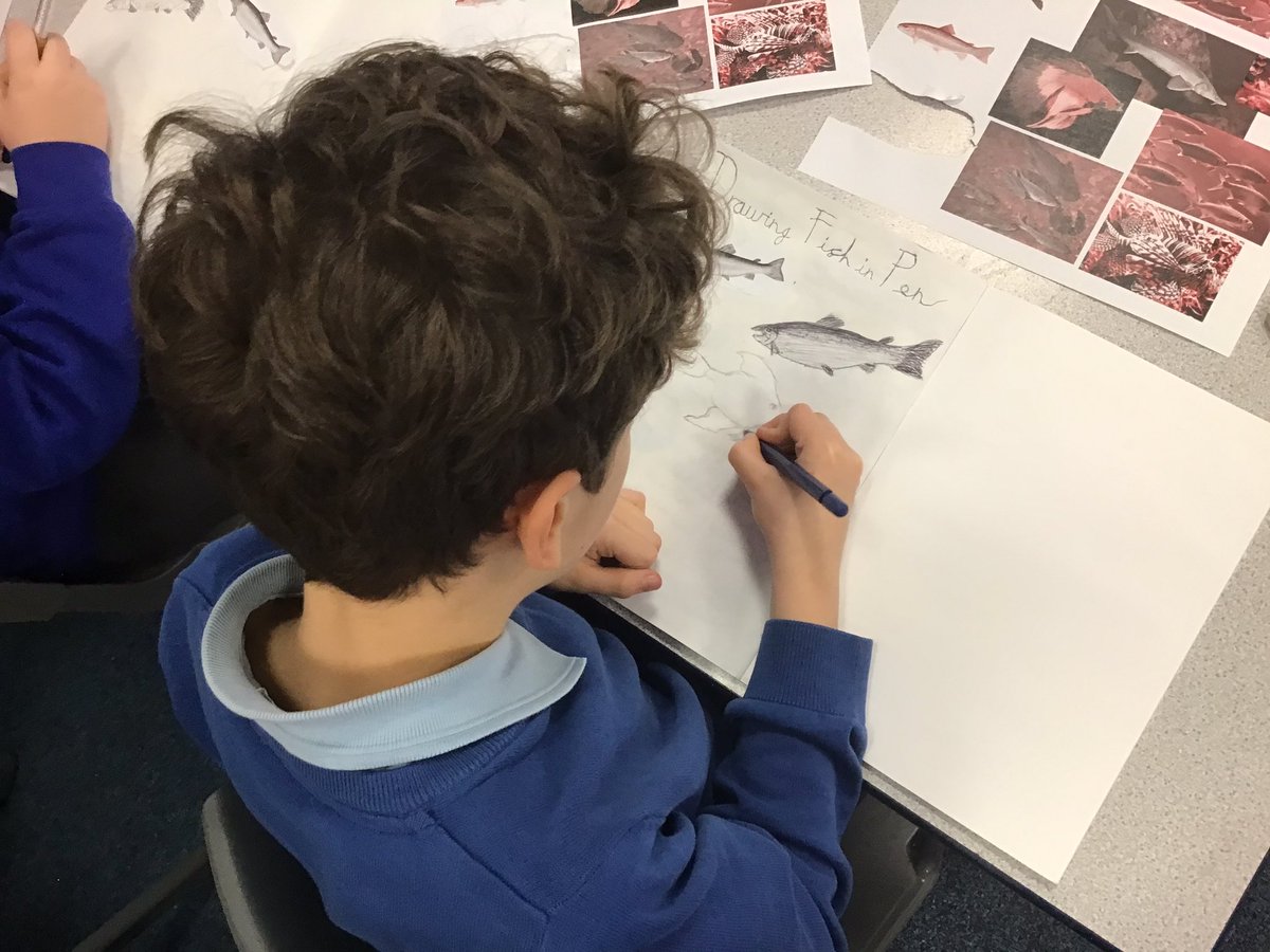 In Art, Class 2 explored drawing fish in pen as part of their Survival topic. We experimented with different pen stroked to create light and dark. Well done class 2! 🖌️🖋️✍️