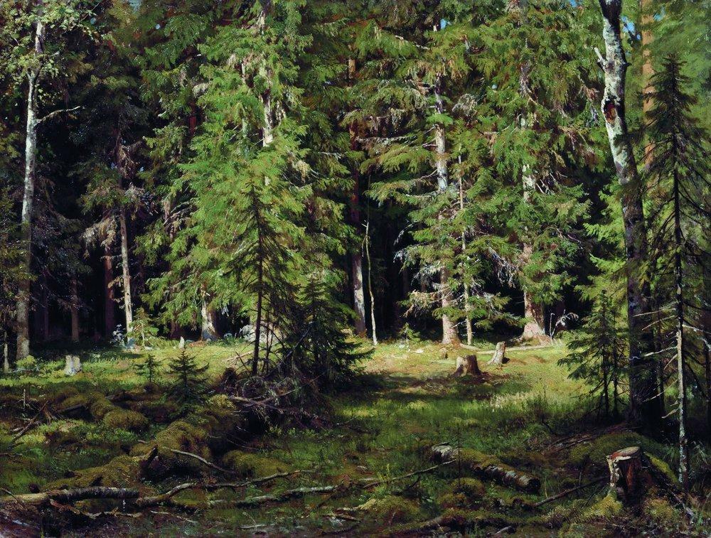 artistshishkin's tweet photo. Forest https://t.co/JUE5KTGKwN https://t.co/rvCualaxw1